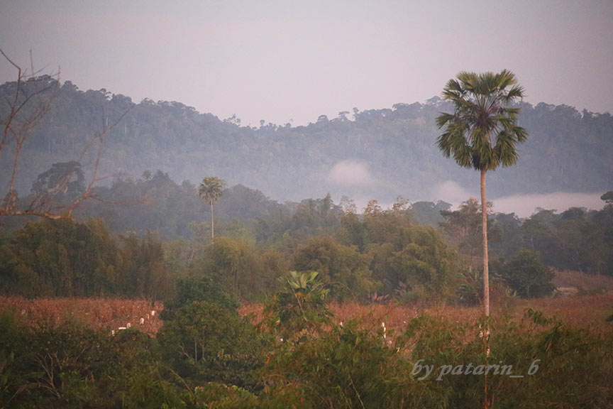 เพชรบูรณ์ 1 เขาค้อออฟเลิฟ