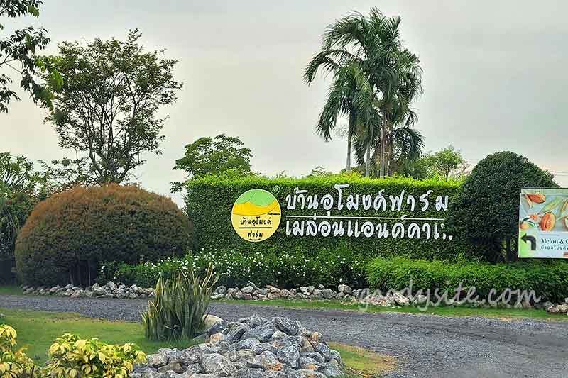 รังสิต 3 เมล่อนแอนด์คาเฟ่