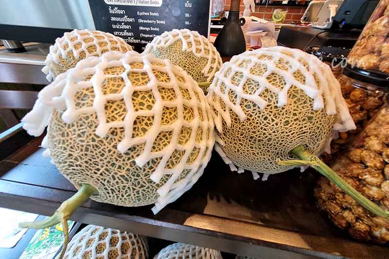 รังสิต 3 เมล่อนแอนด์คาเฟ่