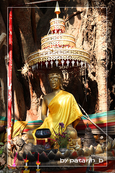 ปาย 5 เวียงกุมกาม