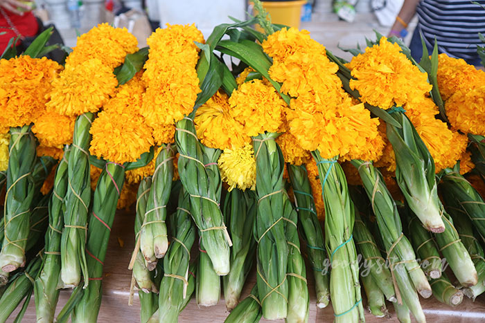 แปดริ้ว 4 วัดโสธรวรารามวรวิหาร