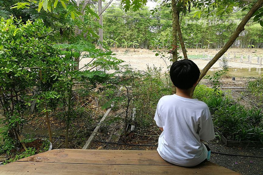แปดริ้ว 1 ร้านอาหารเปียซิม การ์เด้น