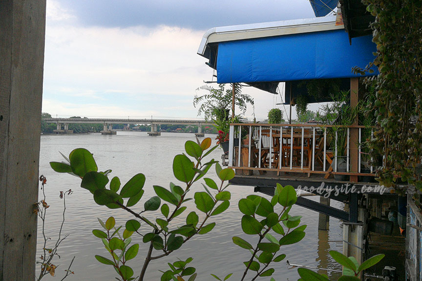แปดริ้ว 4 Red Cat Cafe ร้านกาแฟสุดชิลที่ตลาดบ้านใหม่ 100 ปี