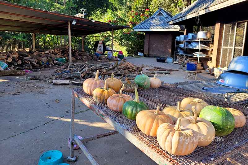 เช้าวันที่ 5 เราต้องเดินทางกลับ กทม แล้ว มุ่งหน้าสู่ลำปาง