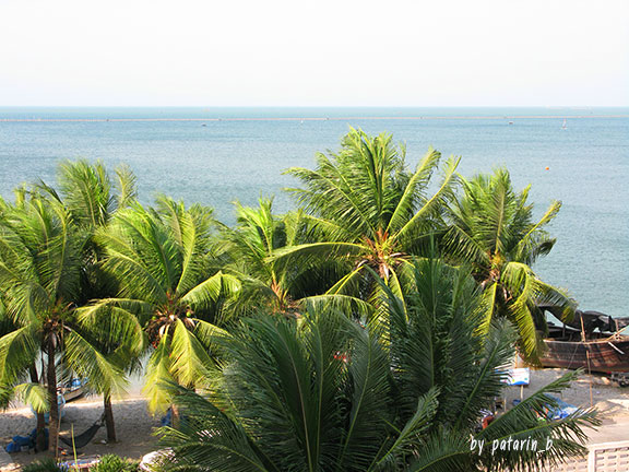 โรงแรมนานาชาติบางแสน