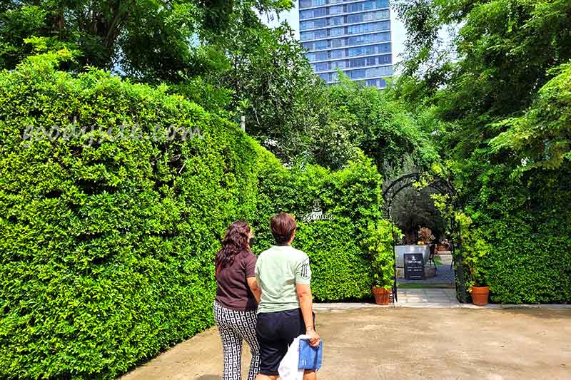 66 Cottage ร้านกาแฟท่ามกลางตึกสูง