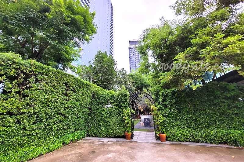 66 Cottage ร้านกาแฟท่ามกลางตึกสูง