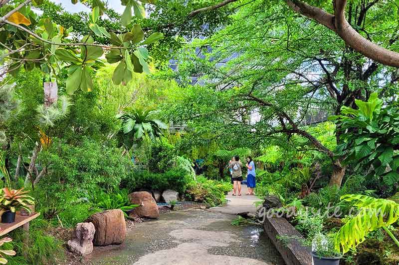 Botanist คาเฟ่ป่าในเมืองกรุง
