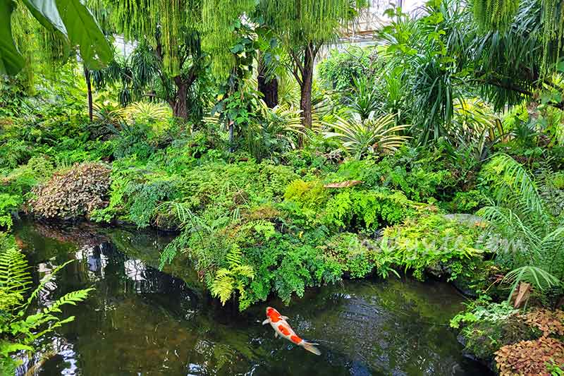 Botanist คาเฟ่ป่าในเมืองกรุง