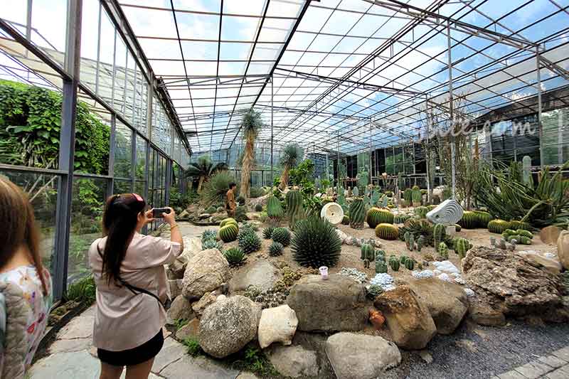 Botanist คาเฟ่ป่าในเมืองกรุง