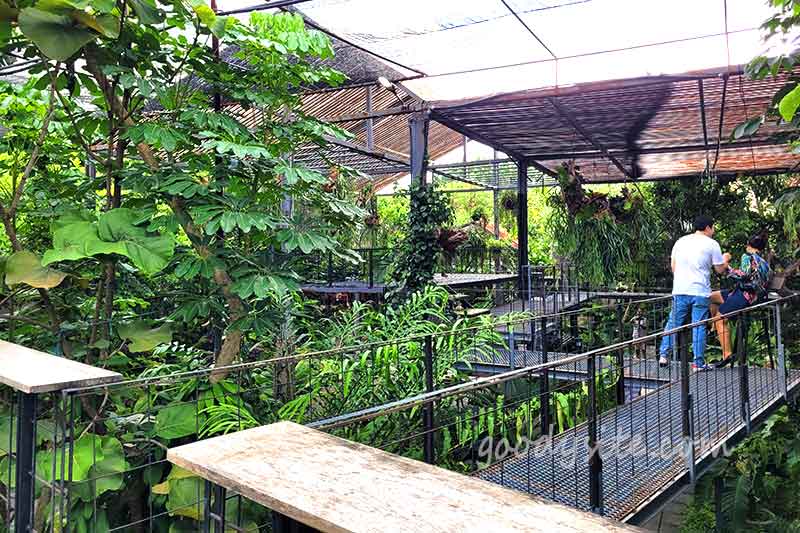 Botanist คาเฟ่ป่าในเมืองกรุง