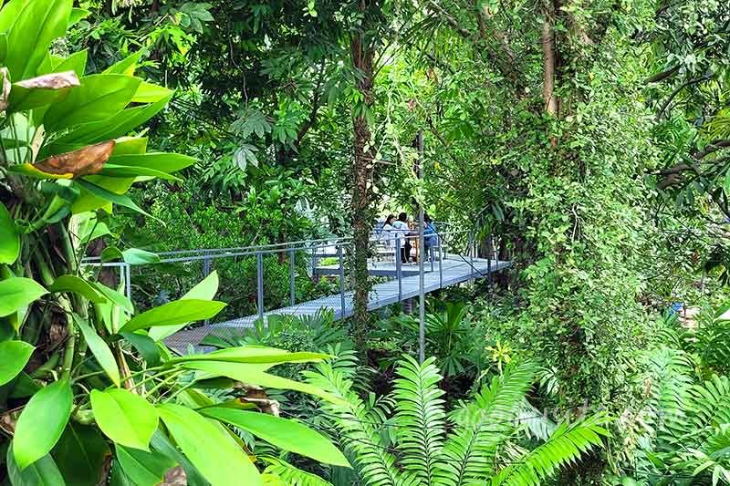 Botanist คาเฟ่ป่าในเมืองกรุง