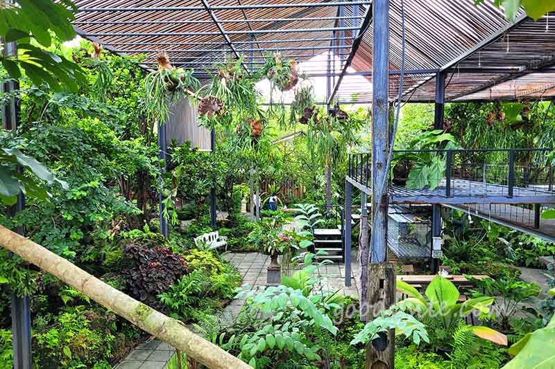 Botanist คาเฟ่ป่าในเมืองกรุง