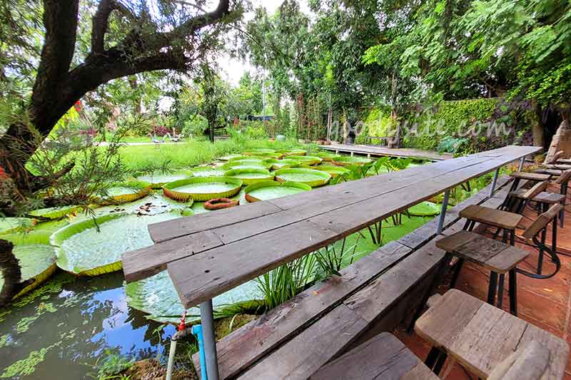 Botanist คาเฟ่ป่าในเมืองกรุง
