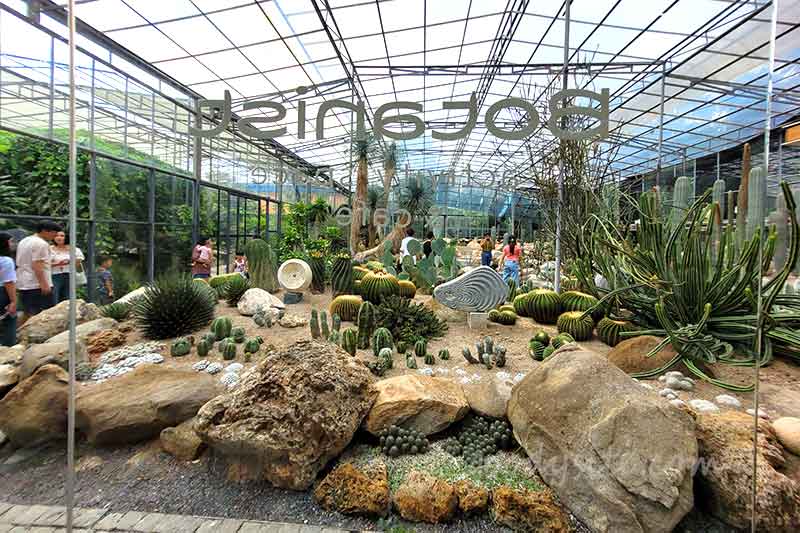 Botanist คาเฟ่ป่าในเมืองกรุง