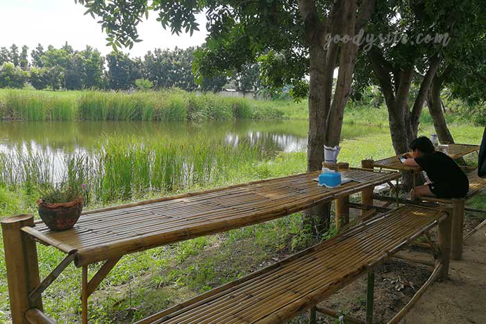 ชะลอม ฟาร์ม คาเฟ่ ร้านชิวๆ ริมบึงน้ำ