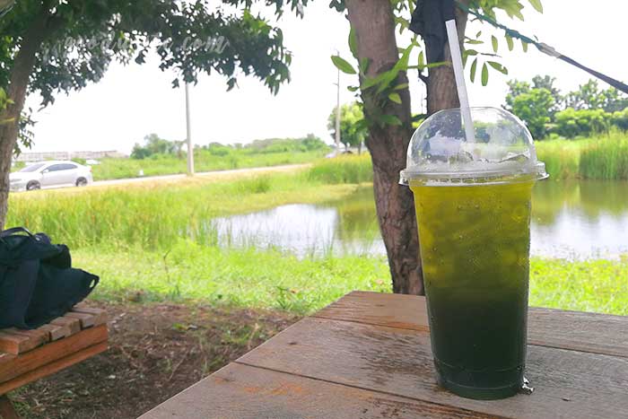 ชะลอม ฟาร์ม คาเฟ่ ร้านชิวๆ ริมบึงน้ำ