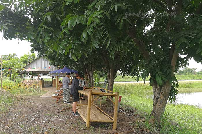 ชะลอม ฟาร์ม คาเฟ่ ร้านชิวๆ ริมบึงน้ำ