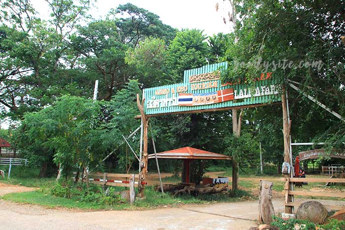 ฟาร์มโคนม สระบุรี 4 คาวบอย โชว์
