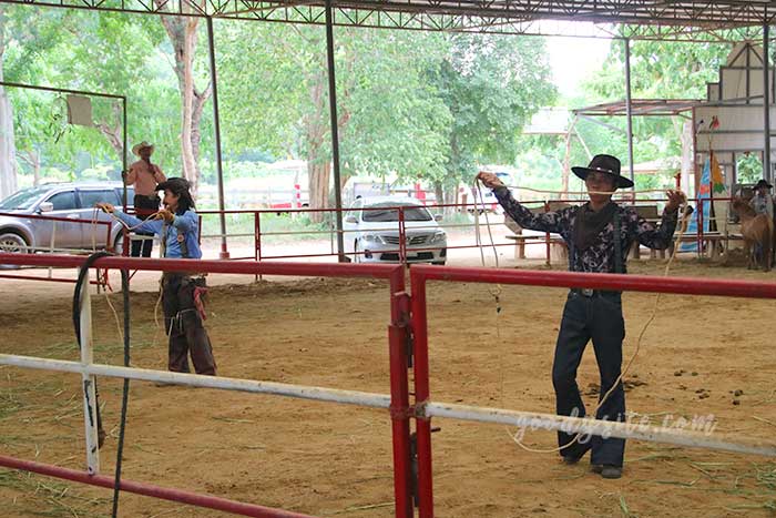 ฟาร์มโคนม สระบุรี 4 คาวบอย โชว์