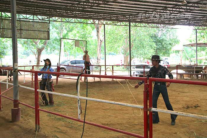ฟาร์มโคนม สระบุรี 4 คาวบอย โชว์