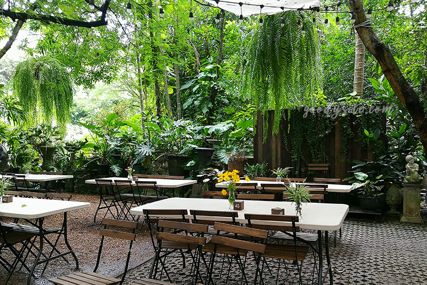 นครปฐม 1 ร้านลิตเติ้ลทรีการ์เด้น Little Tree Garden