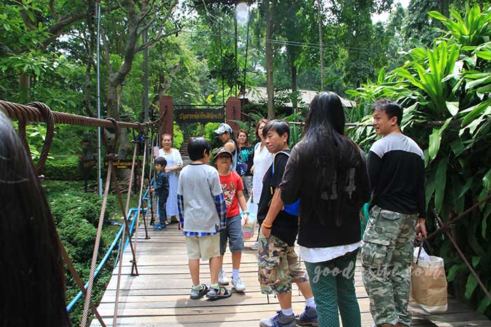 ฟาร์มโคนม สระบุรี 1 น้ำตกมวกเหล็ก