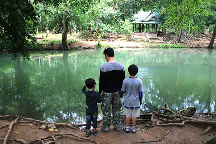 ฟาร์มโคนม สระบุรี 1 น้ำตกมวกเหล็ก