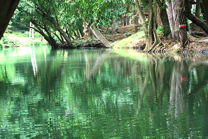 ฟาร์มโคนม สระบุรี 1 น้ำตกมวกเหล็ก