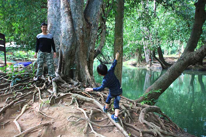 ฟาร์มโคนม สระบุรี 1 น้ำตกมวกเหล็ก