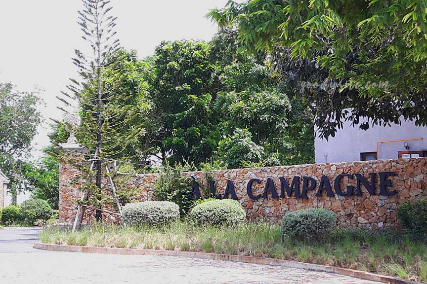 พัทยา-เกาะไผ่ 2: Ala Campagne (อะลาคอมปาณย์)