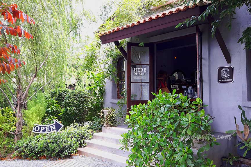 พัทยา-เกาะไผ่ 2: Ala Campagne (อะลาคอมปาณย์)