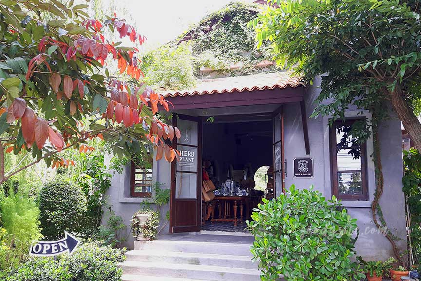 พัทยา-เกาะไผ่ 2: Ala Campagne (อะลาคอมปาณย์)