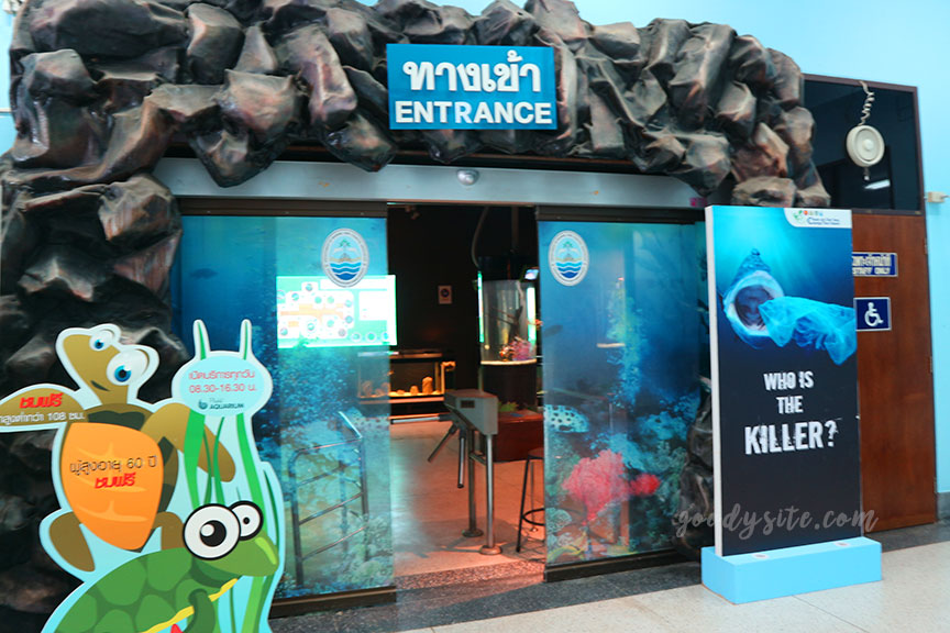 ภูเก็ต 6 สถานแสดงพันธุ์สัตว์น้ำภูเก็ต Phuket Aquarium