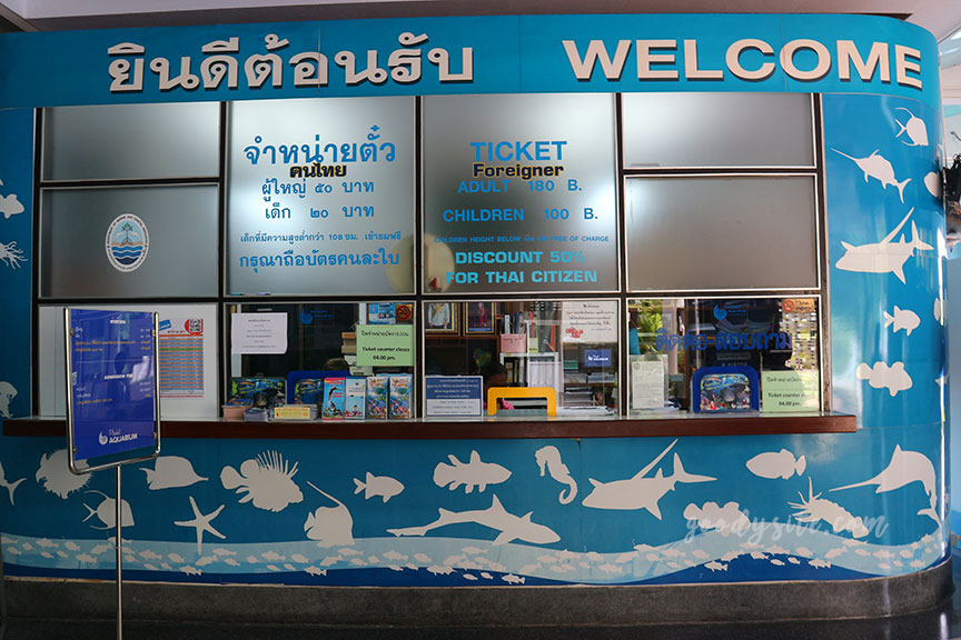 ภูเก็ต 6 สถานแสดงพันธุ์สัตว์น้ำภูเก็ต Phuket Aquarium