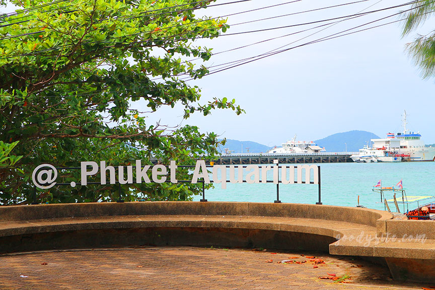 ภูเก็ต 6 สถานแสดงพันธุ์สัตว์น้ำภูเก็ต Phuket Aquarium