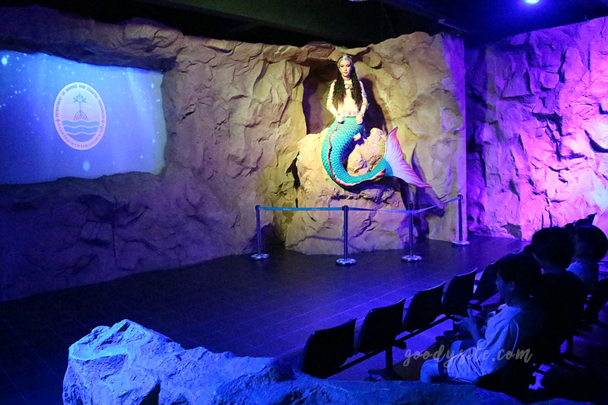 ภูเก็ต 6 สถานแสดงพันธุ์สัตว์น้ำภูเก็ต Phuket Aquarium