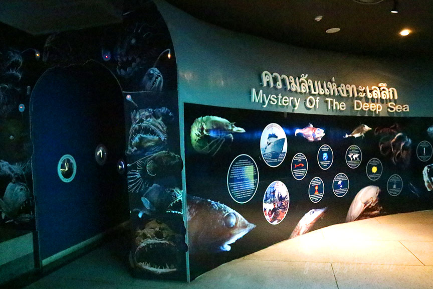 ภูเก็ต 6 สถานแสดงพันธุ์สัตว์น้ำภูเก็ต Phuket Aquarium