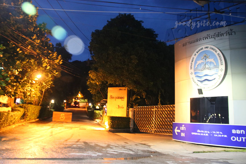 ภูเก็ต 10 โรงแรมศรีพันวา5 ครัวบลูเวฟ Blue Wave Restaurant