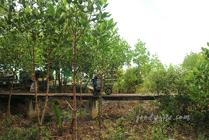 ร้านอาหารสายลม บางปู วิวดี อาหารอร่อย