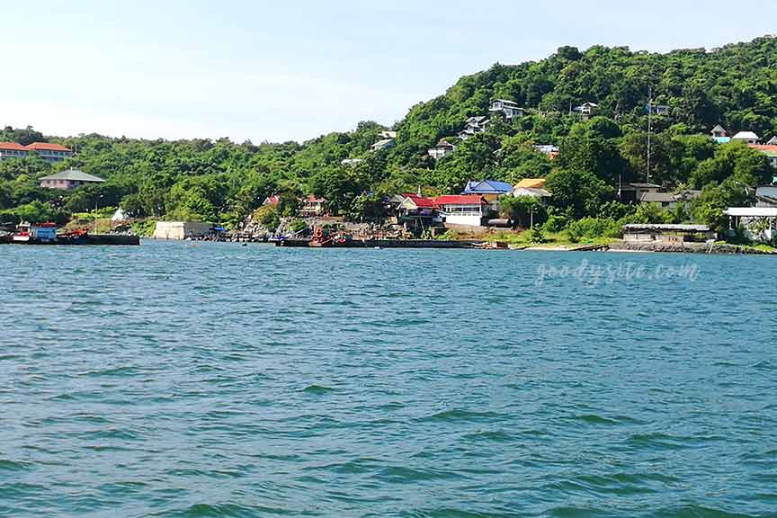 พัทยา-สีชัง 5 ล่องเรือ ตกปลา