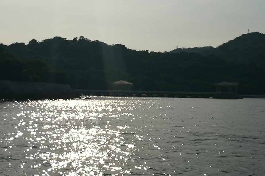 พัทยา-สีชัง 5 ล่องเรือ ตกปลา