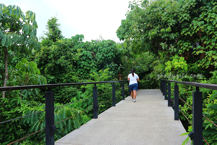 ภูเก็ต 7 โรงแรมศรีพันวา