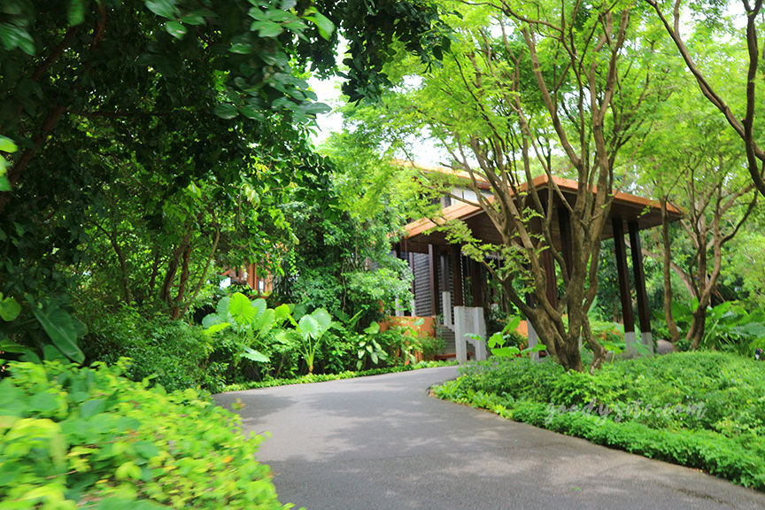 ภูเก็ต 8 โรงแรมศรีพันวา2 The Landscape