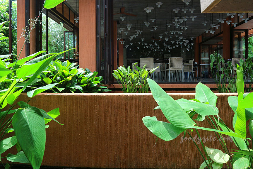 ภูเก็ต 8 โรงแรมศรีพันวา2 The Landscape