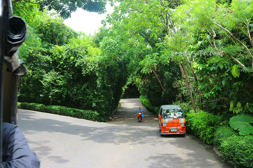 ภูเก็ต 8 โรงแรมศรีพันวา2 The Landscape