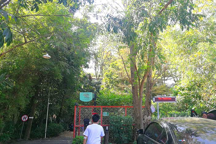 เดอะ ทรีเฮาส์ หนองจอก (The Tree house Nongchok)