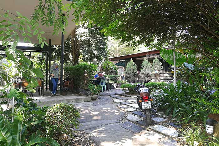 เดอะ ทรีเฮาส์ หนองจอก (The Tree house Nongchok)