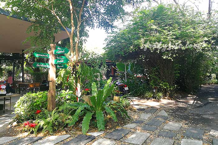 เดอะ ทรีเฮาส์ หนองจอก (The Tree house Nongchok)