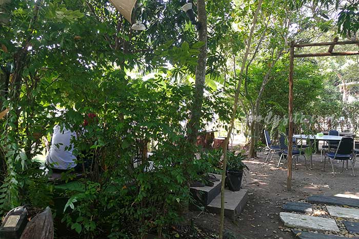 เดอะ ทรีเฮาส์ หนองจอก (The Tree house Nongchok)